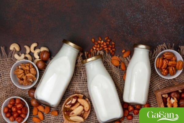 Sữa hạt đang là loại sữa mang lại trào lưu trong việc sử dụng các loại sữa từ thực vật để đảm bảo sức khỏe cho cơ thể 