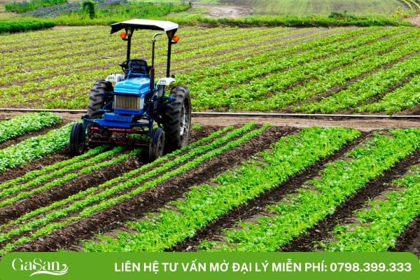 Nông nghiệp là lĩnh vực chính thúc đẩy nền kinh tế và đảm bảo an ninh lương thực cho Việt Nam